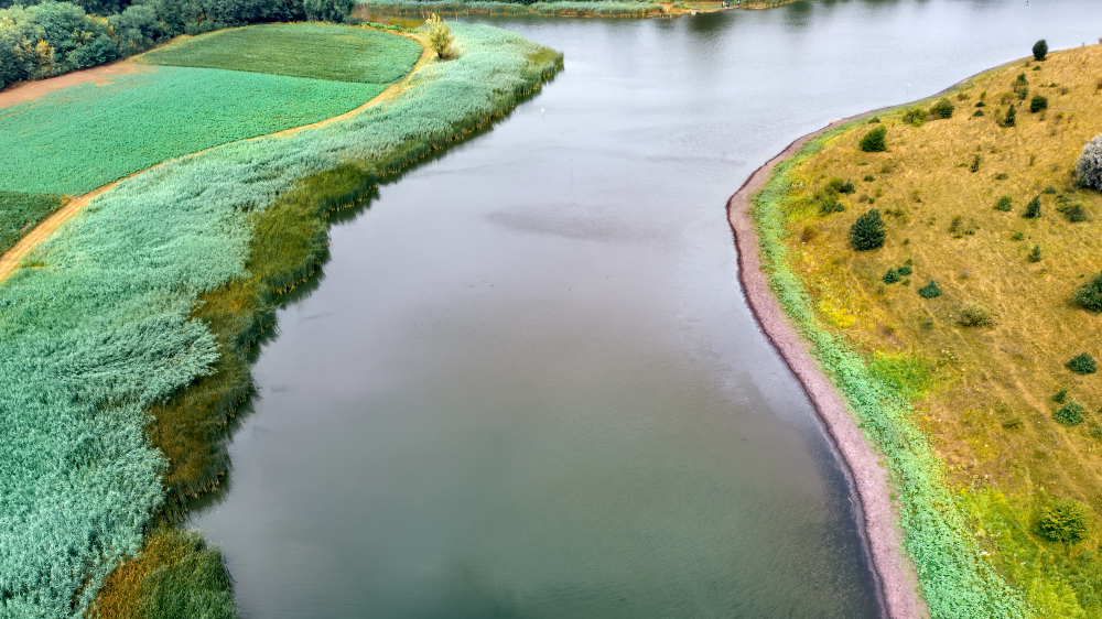 Watershed Project